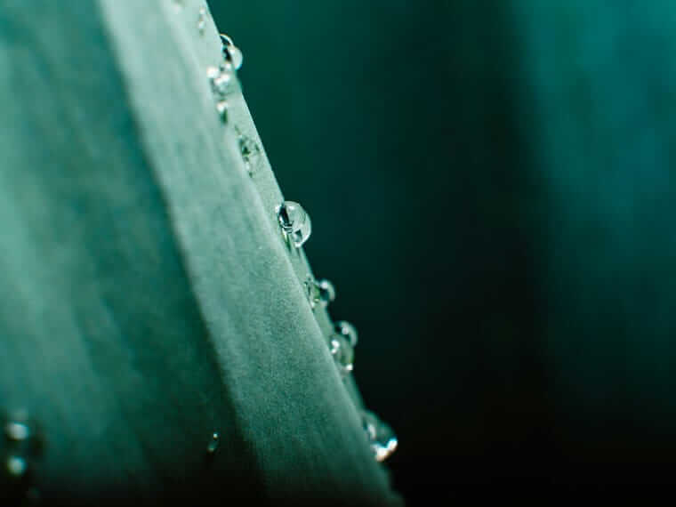 Abgeltungssteuer (Nahaufnahme von kleinen Wassertropfen auf schräger Fläche – steht symbolisch für gezielte Steueroptimierung durch die Günstigerprüfung.)