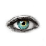 Eyecatcher
