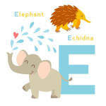 E wie E-Mail