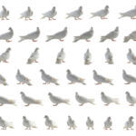 360 Grad Feedback