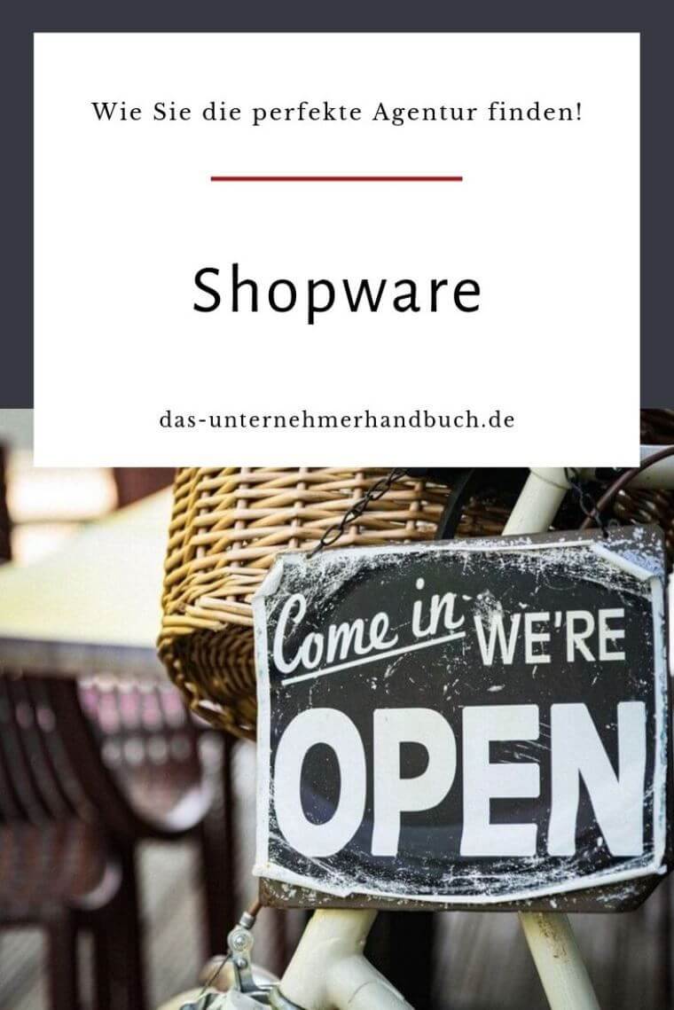 Shopware-Agentur
