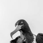 SEO und Content-Marketing