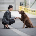Michaela Knabe, Hunde, Führung, Haltung, Kompetenz