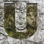 Lexikon Buchhaltung: U