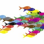 Crowdfunding, Crowdinvesting