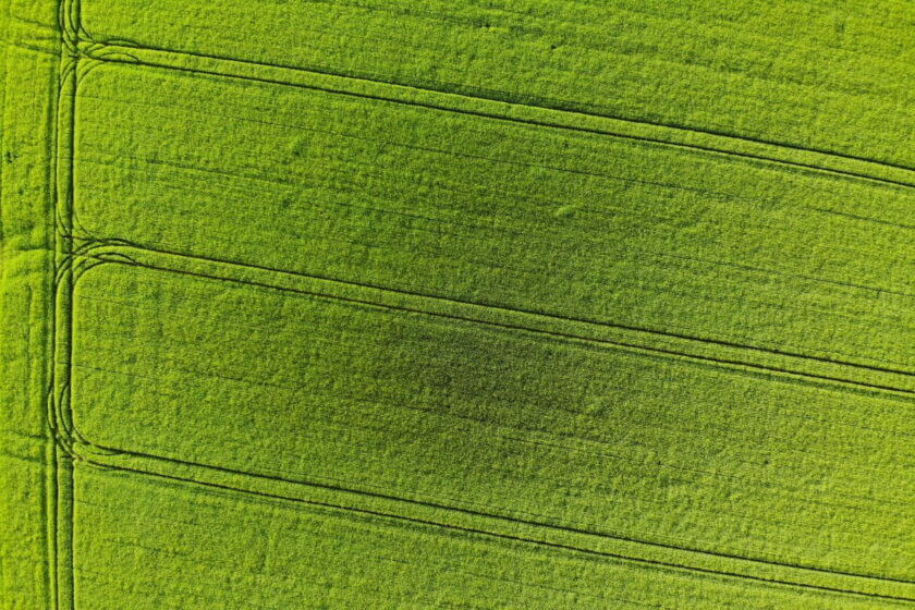 Green Logistik, kann das funktionieren?