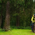 Nibble, Schuldenmarkt, Investieren (Mann auf dem Fahrrad im Wald)