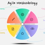 Agiles Projektmanagement (Infographic Agile Methodology. Colorful modern infographic template.)