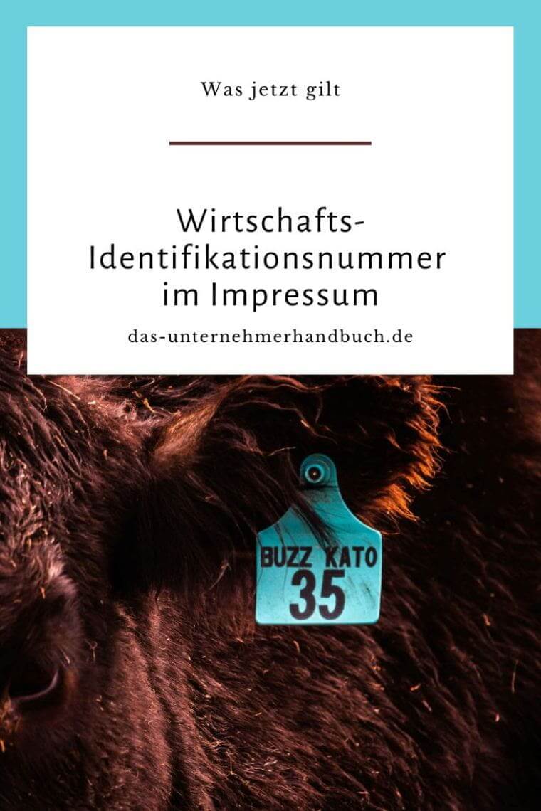 Wirtschafts-Identifikationsnummer