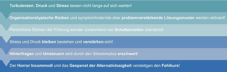 Wenn Führung in die Irre führt – und was sie gut auf Kurs bringt Abbildungen IRRE-FÜHRUNG, Ursachenübersicht