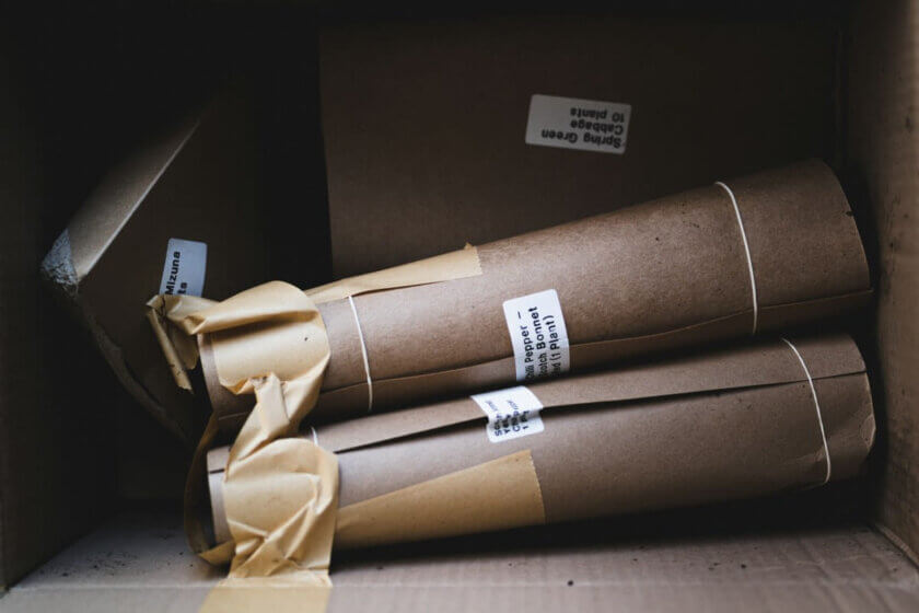 VerpackDG / Versandröhren mit Etiketten liegen in einem geöffneten Versandkarton